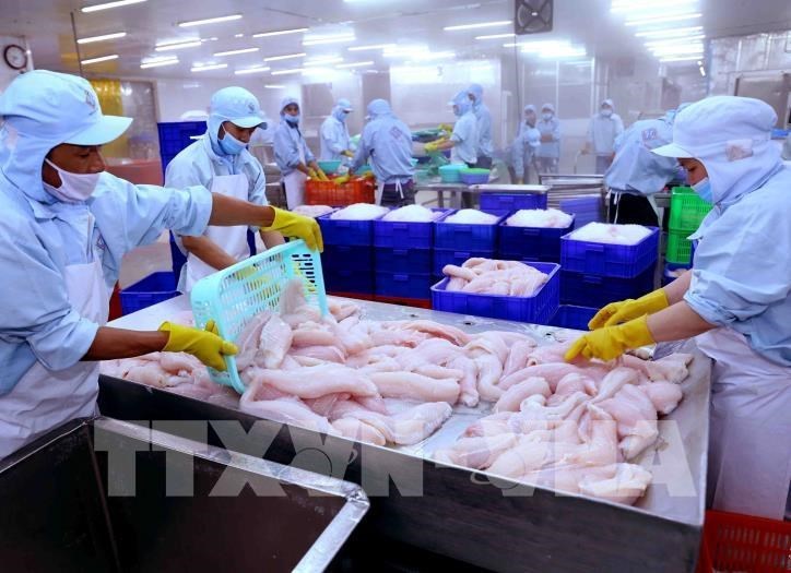 172731 nam 2019 nganh thuy san phan dau dat kim ngach xuat khau hon 10 5 ty usd