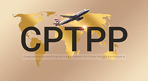 1277d anhdamphangianhapcptpp 600