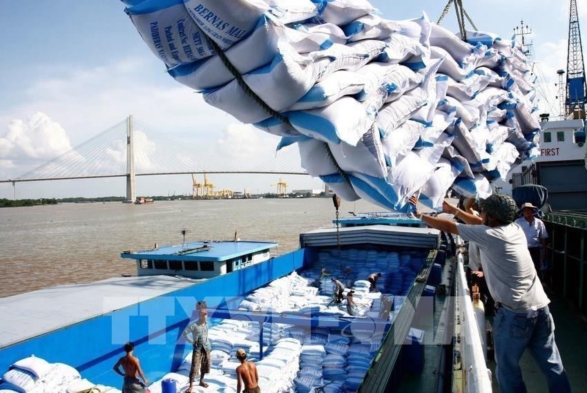 174258 90 nam dcs viet nam tu khoan 10 den cuong quoc xuat khau gao bai hoc lon ve tin dan trong dan va quyet tam doi moi cua dang