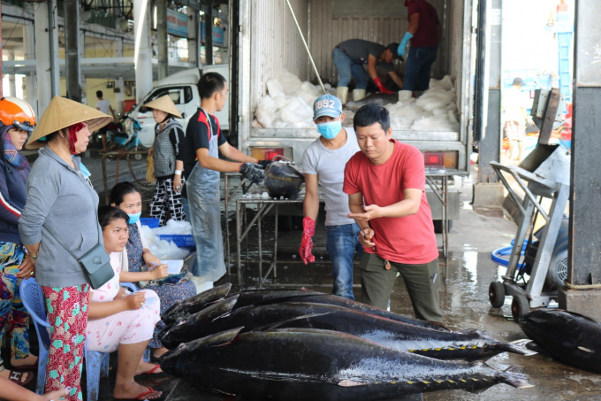 4 van de yeu kem cua nganh thuy san 200530 20210816 408