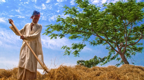 Bangladesh