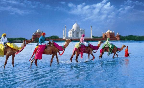 India13