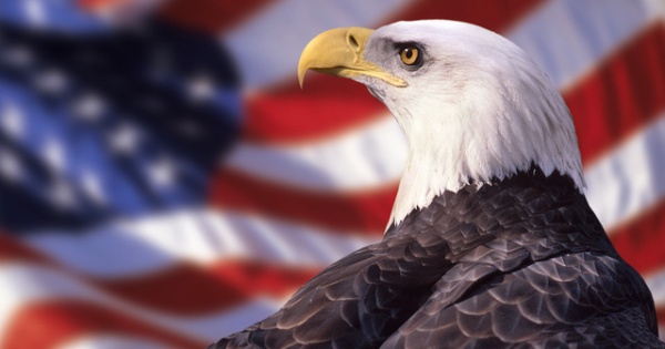 USA-eagle1