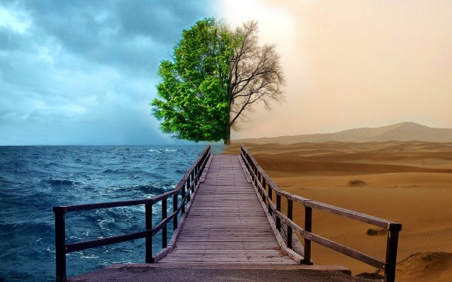 Enviroment