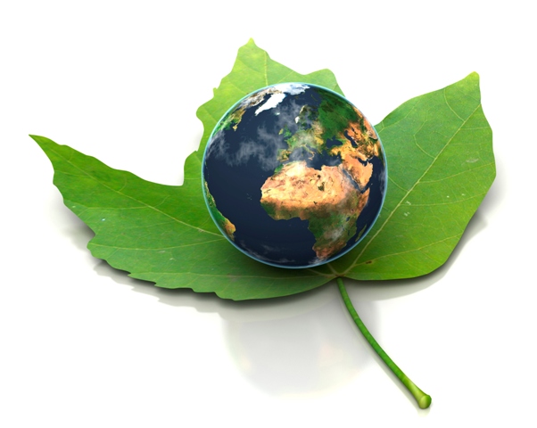 Enviroment2