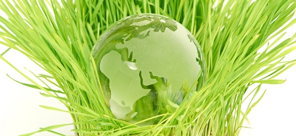 Enviroment5
