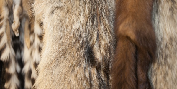 Fur
