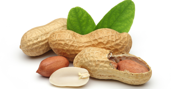 peanut