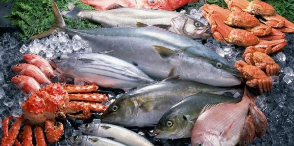 seafood9