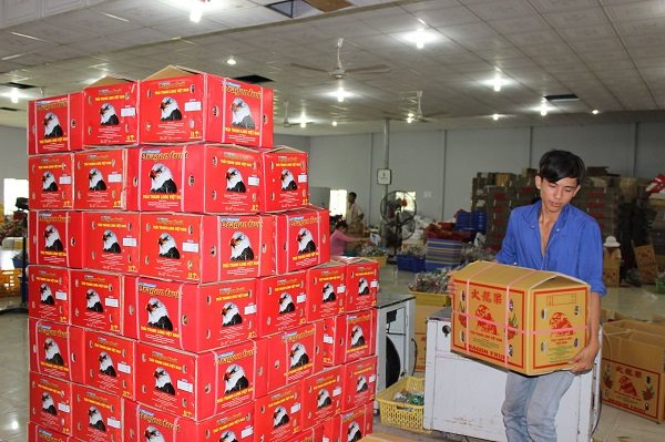 af8c5 thanh long tam vu 2