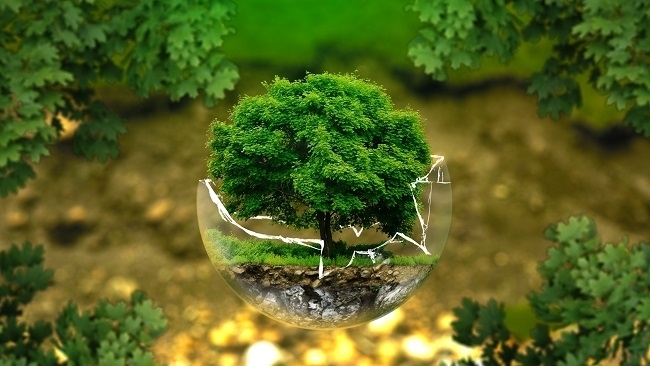 environmental protection 326923