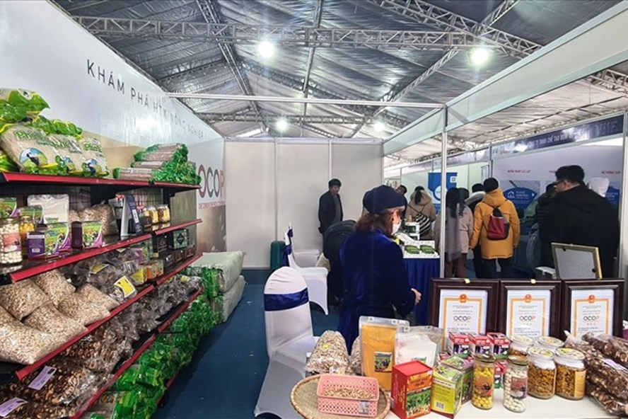 OCOP 2 01