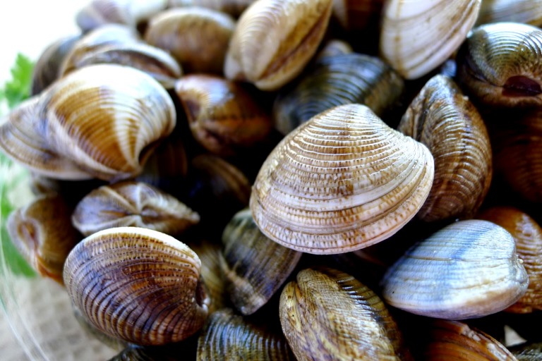 clams 1640154032