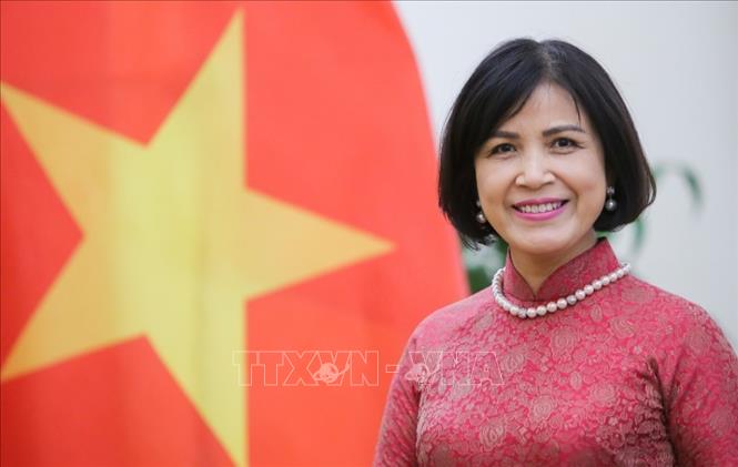 quyen tac gia 251121