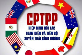 CPTPP
