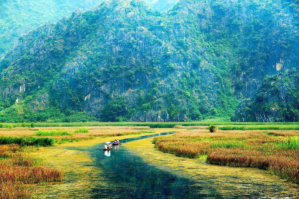 hệ sinh thái 19.4.22