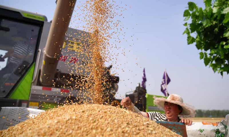 khủng hoảng lương thực 19.4.22