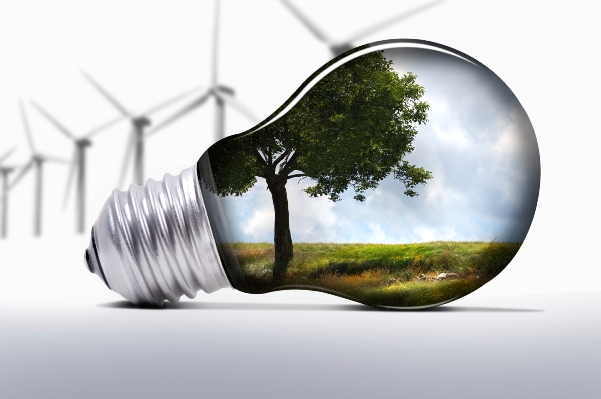 environment goods