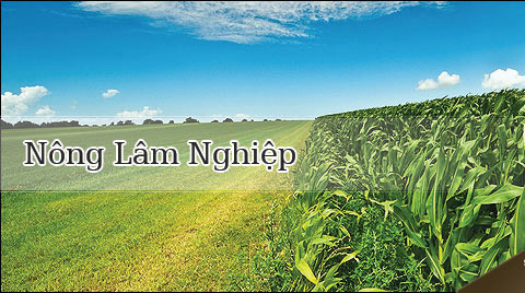 nonglamnghiep