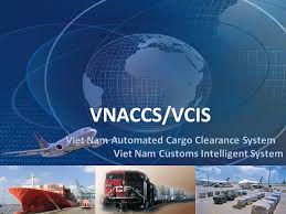 vnaccs1