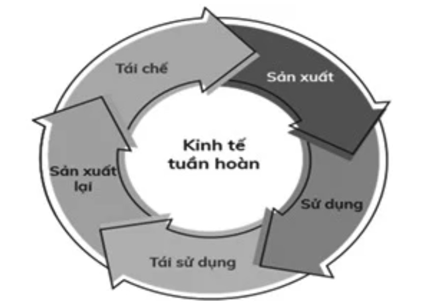 19 tin17 26.10.2023