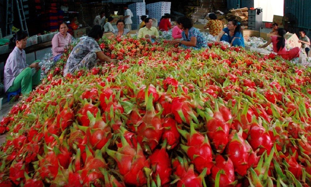 xuat khau nong lam san but pha tro thanh ngoi sao trong nam