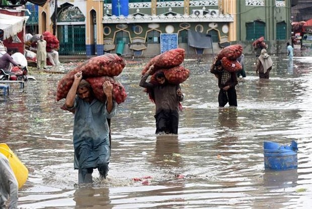 ttxvn pakistan