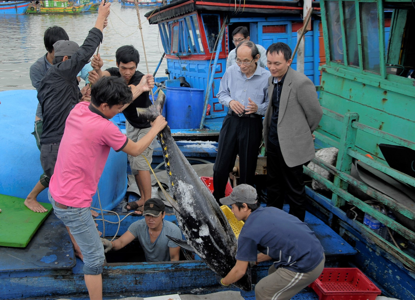 truy xuat nguon goc thuy san