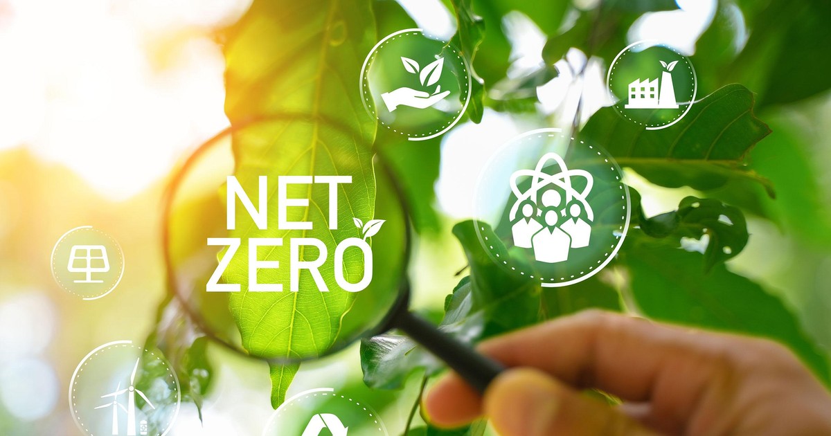 net zero4 5926