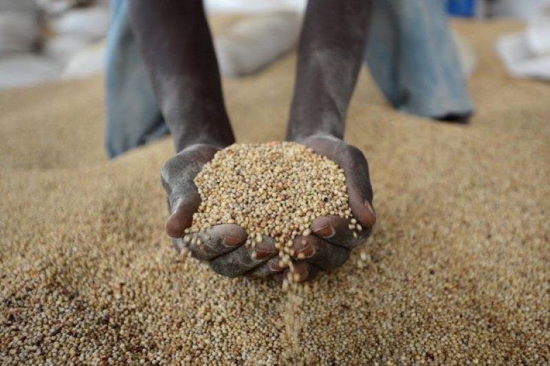 african grains 640x426