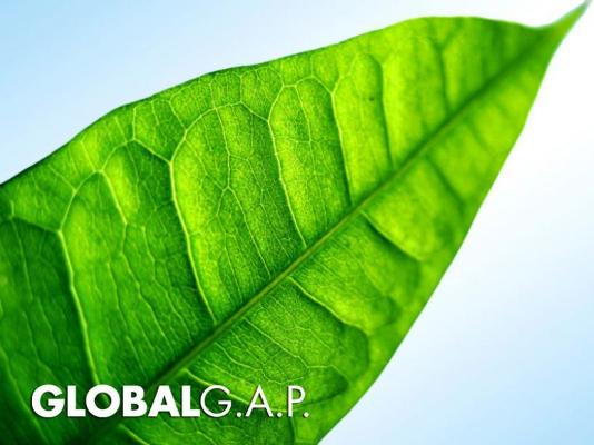 Global-GAP