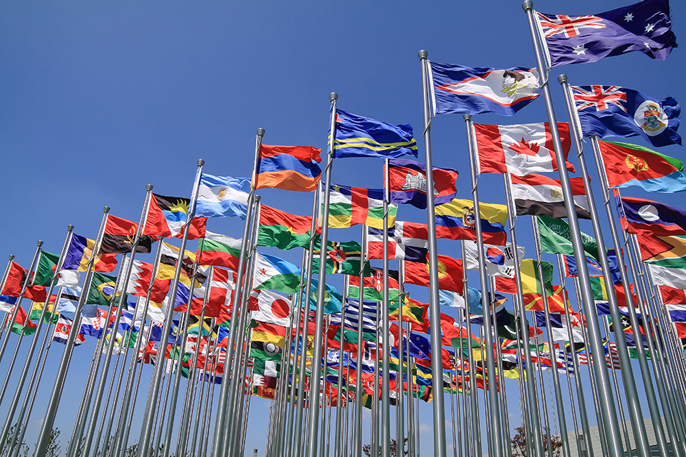 WTO-flag
