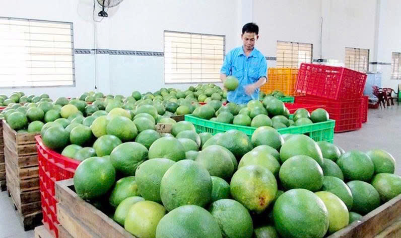 2.1