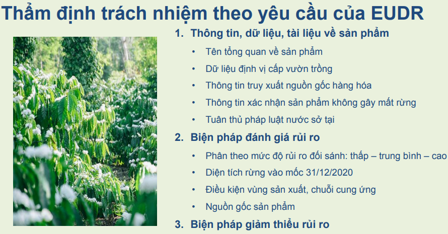 emagazine tat tan tat ve quy dinh eudr cua eu va cac buoc doanh nghiep can thuc hien 66f77ab4a1817