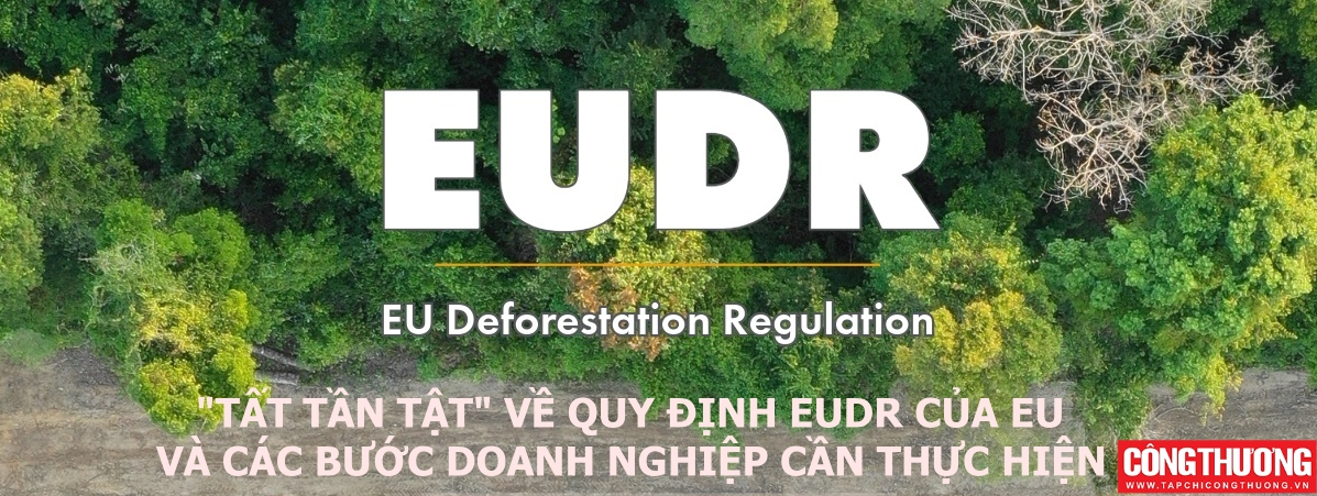 tp blogs banners 16 eudr2 2 66f821b00246a