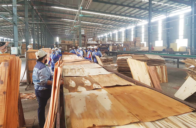 tiep tuc tam ngung chuyen khau tam nhap go dan vao viet nam de tai xuat sang hoa ky 6705f0c6bab9c