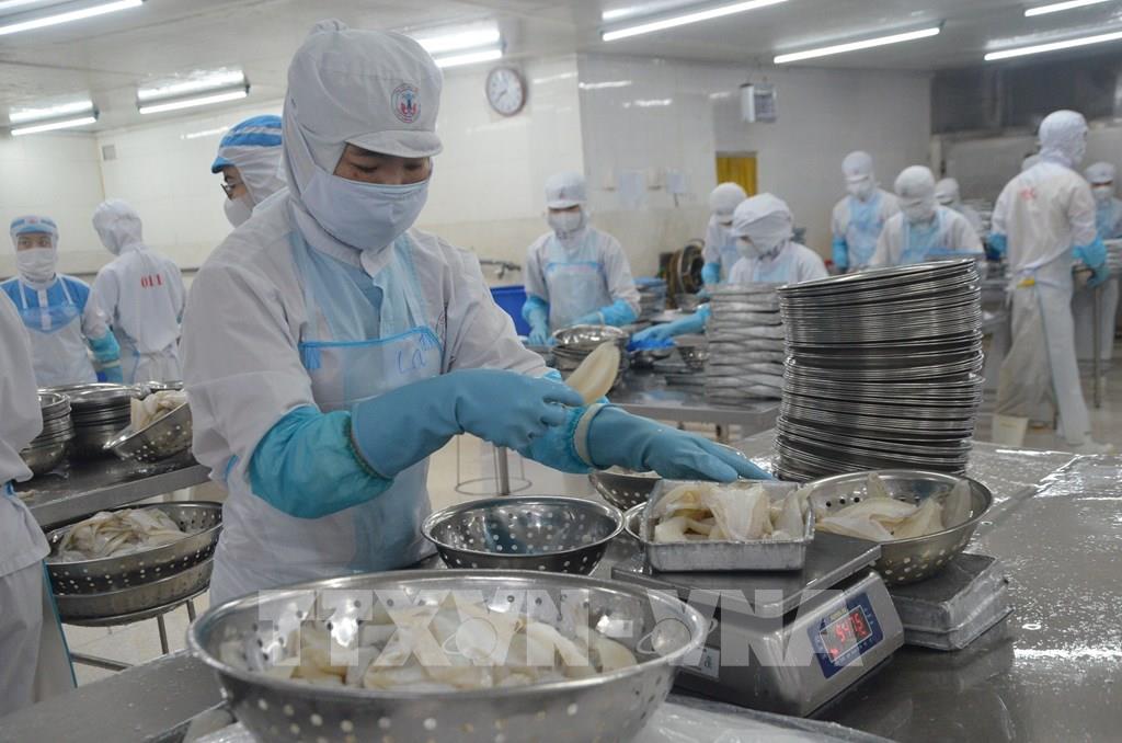 074117 kim ngach xuat khau tinh ba ria vung tau tang hon 7 so voi cung ky nam 2023