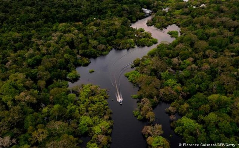 81 1728829330 rung amazon o colombia