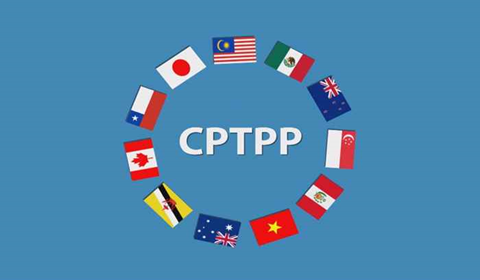 18 hang hoa tan trang theo hiep dinh cptpp20240822190008