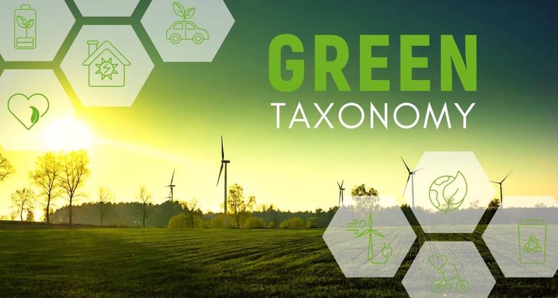 green taxonomy