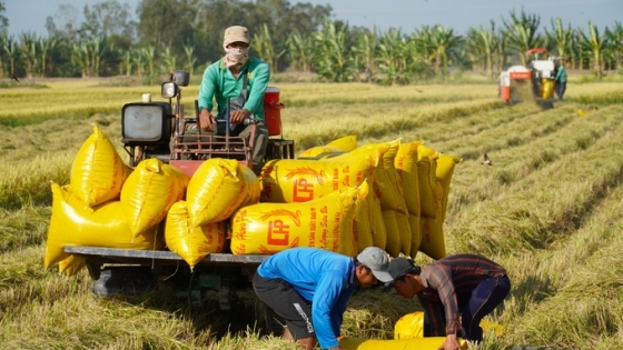 indonesia1 17245618887802119419900