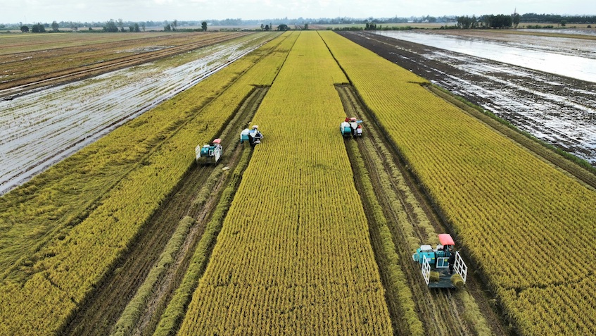 dji fly 20240708 093012 14 1720406422606 photo optimized