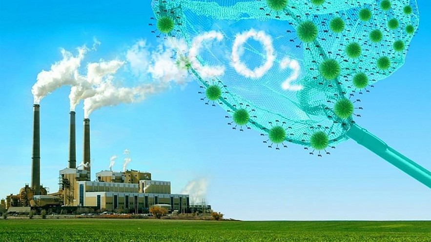 tao dieu kien thuan loi de doanh nghiep tham gia vao thi truong carbon 20240904160456