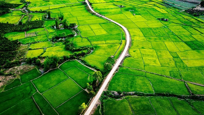 kinh te xanh 1