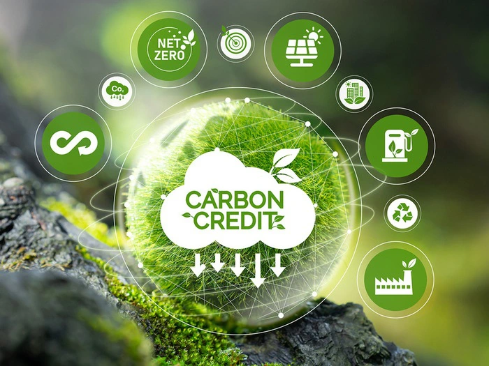 thi truong carbon