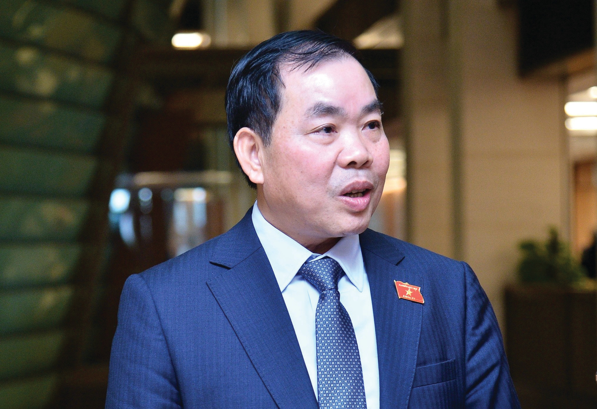 dbqh nguyen quang huan