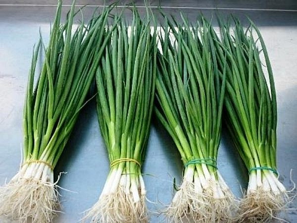 10 tin 25.06.2024