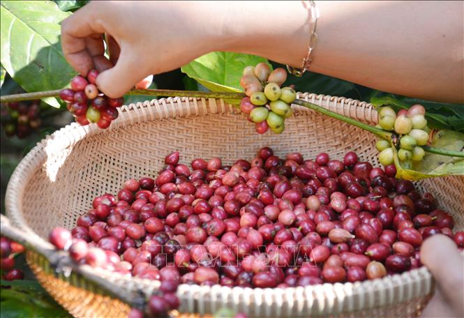 10 tin 13.05.2024