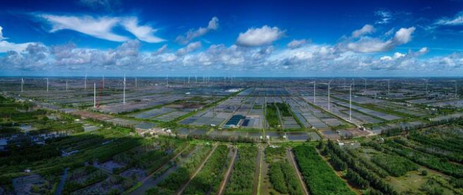 12 nhung 2 26.07.2024