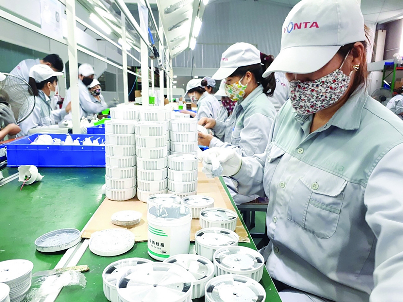 5 nhung 05.08.2024